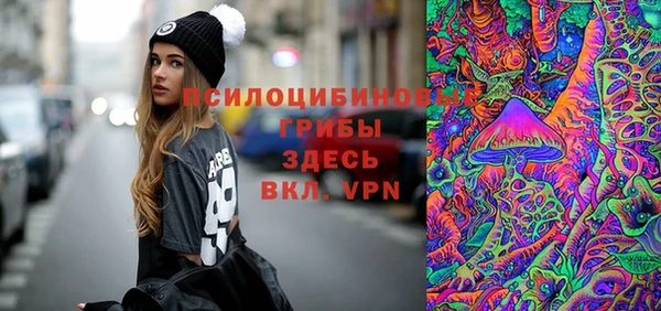 ПСИЛОЦИБИНОВЫЕ ГРИБЫ Красноперекопск