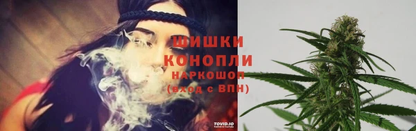 крисы Краснослободск