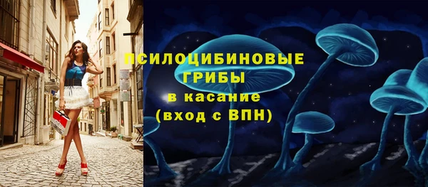 ПСИЛОЦИБИНОВЫЕ ГРИБЫ Красноперекопск