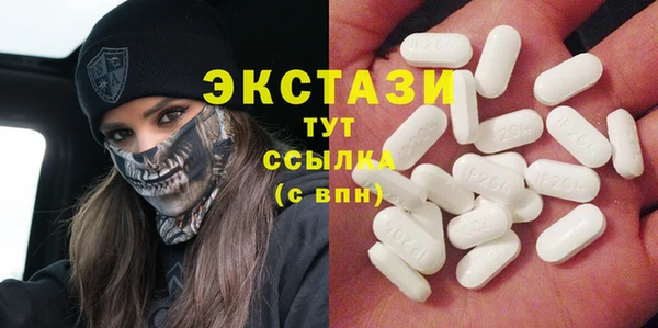 крисы Краснослободск