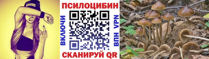 Псилоцибиновые грибы мицелий  Купить закладки  Можга 