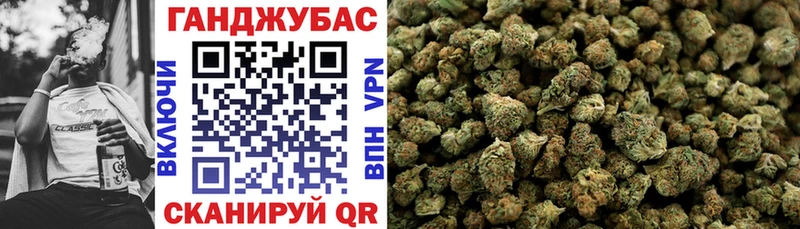 Купить где  Можга  Бошки марихуана Amnesia 
